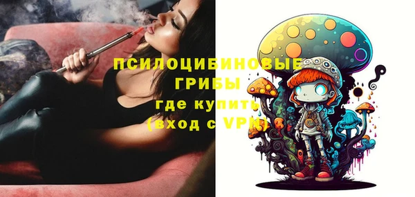 стафф Заволжск