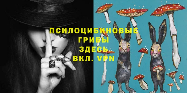 бошки Заводоуковск
