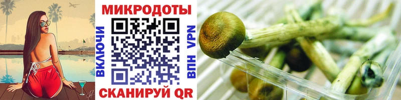 как найти   mega ссылка  Псилоцибиновые грибы мицелий  Серпухов 