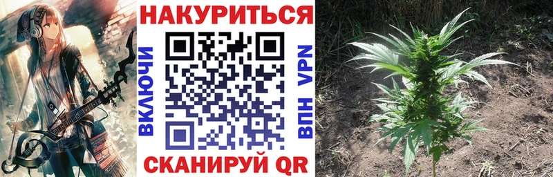Бошки марихуана гибрид Серпухов
